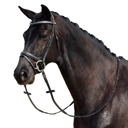 Dublin Crystal Flash Bridle