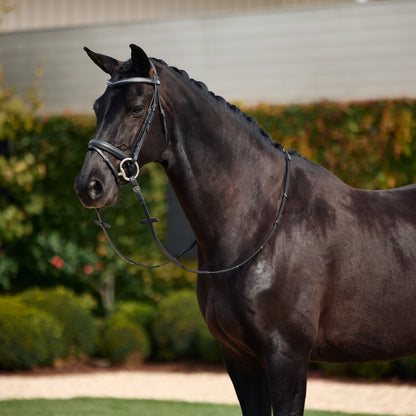 Dublin Crystal Flash Bridle