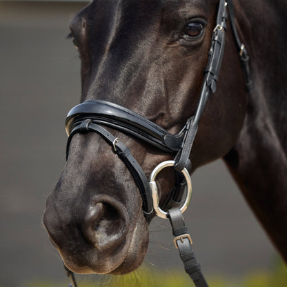 Dublin Patent Bridle
