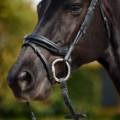 Dublin Patent Bridle
