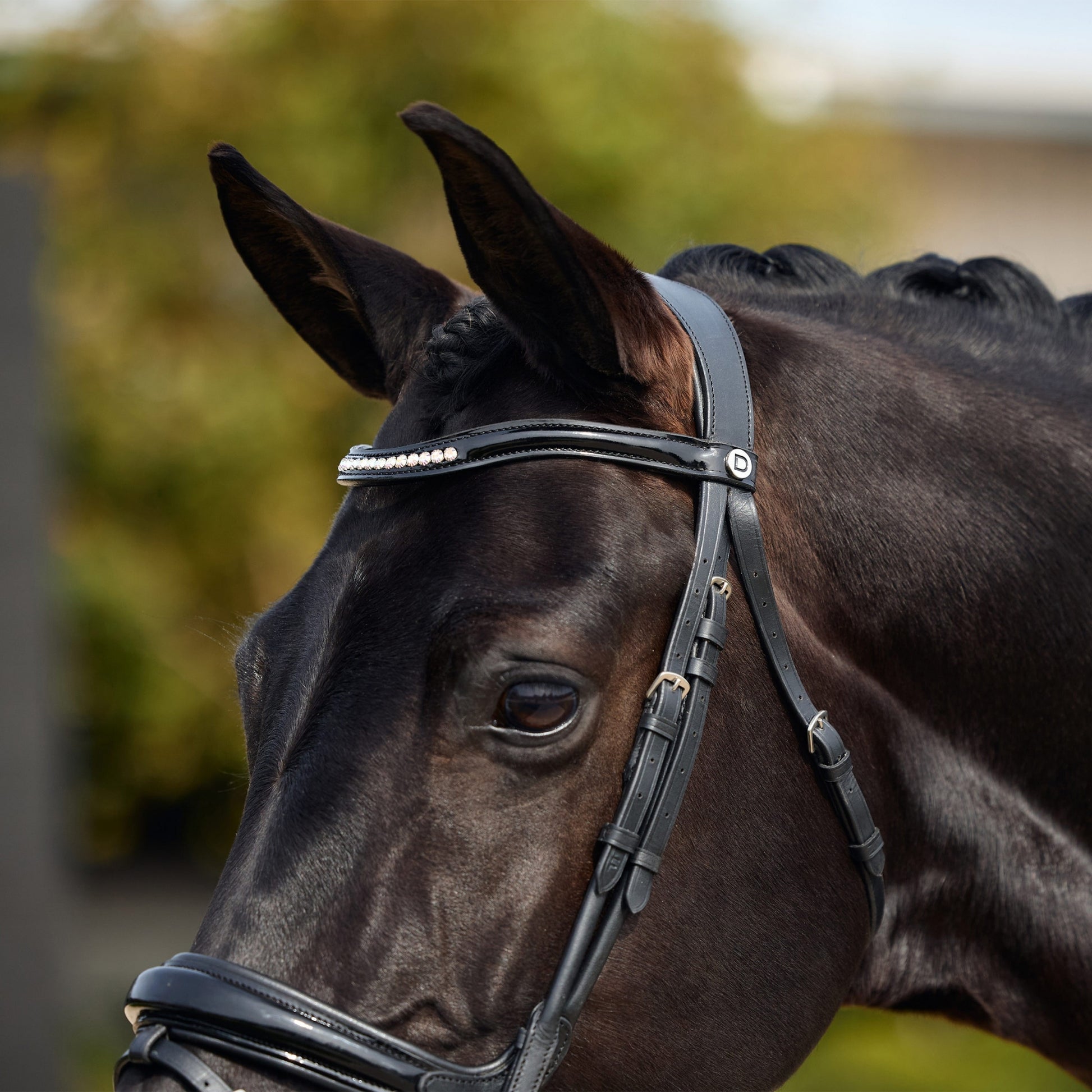 Dublin Patent Bridle