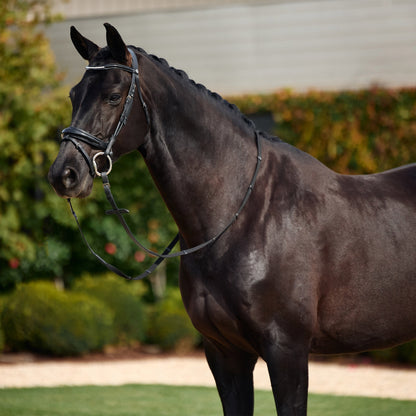 Dublin Patent Bridle
