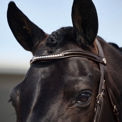 Dublin Patent Bridle