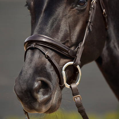 Dublin Patent Bridle