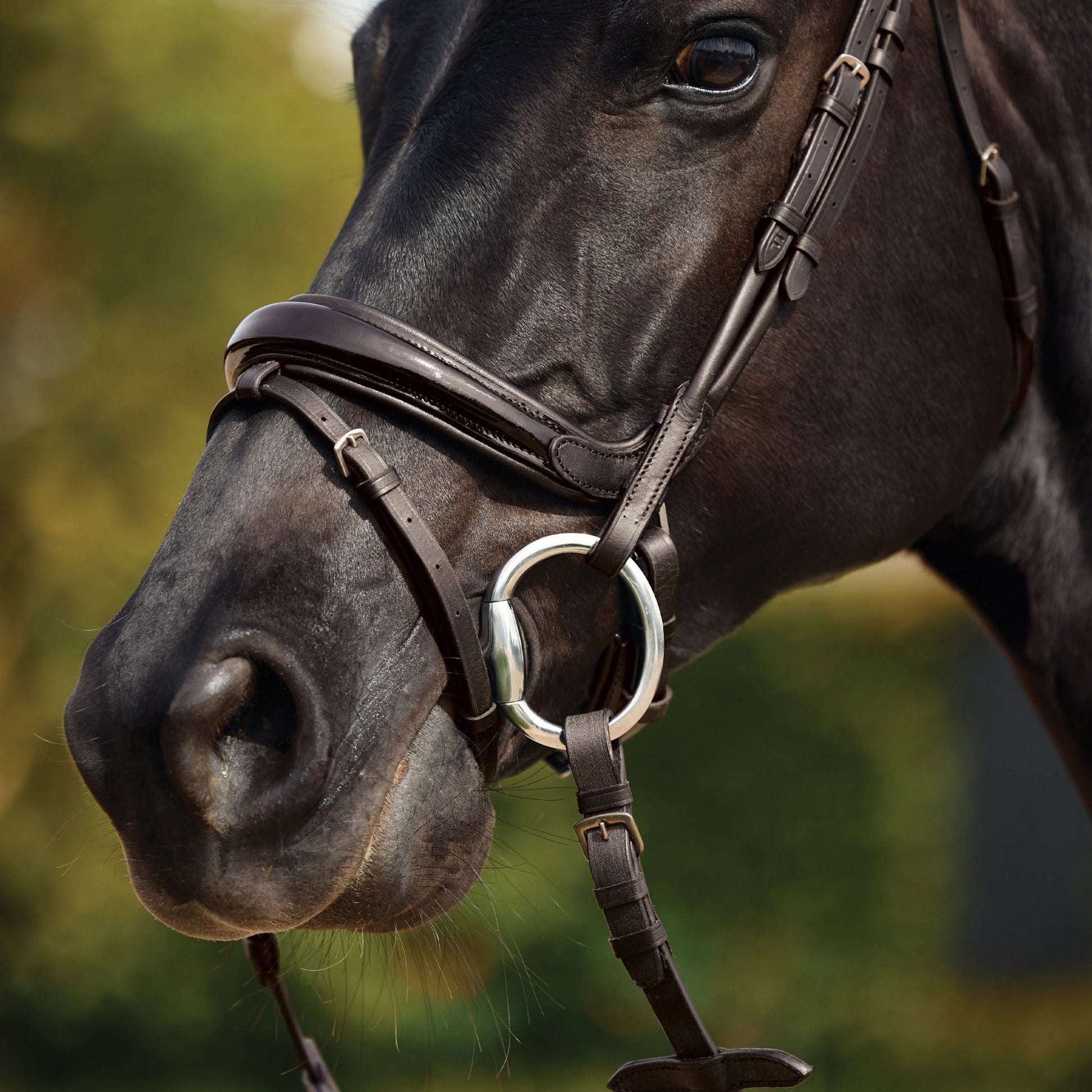 Dublin Patent Bridle