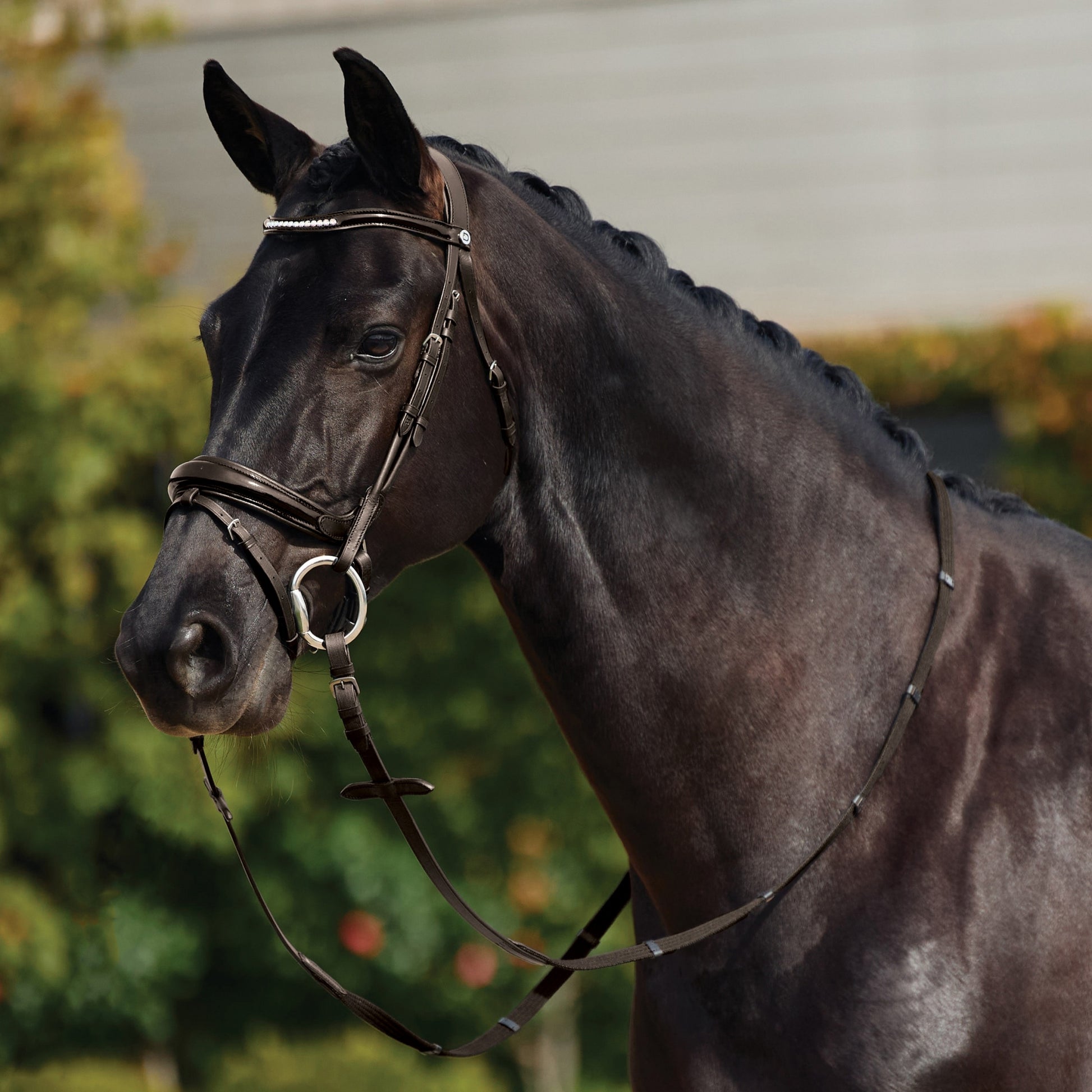 Dublin Patent Bridle