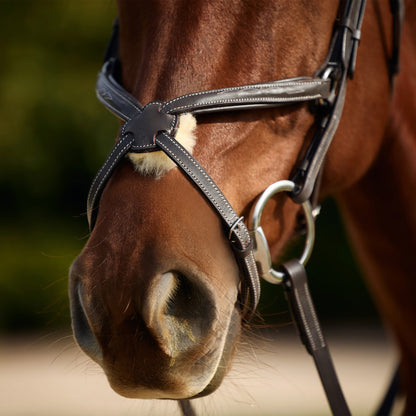 Dublin Padded Fancy Stitch Grackle Bridle