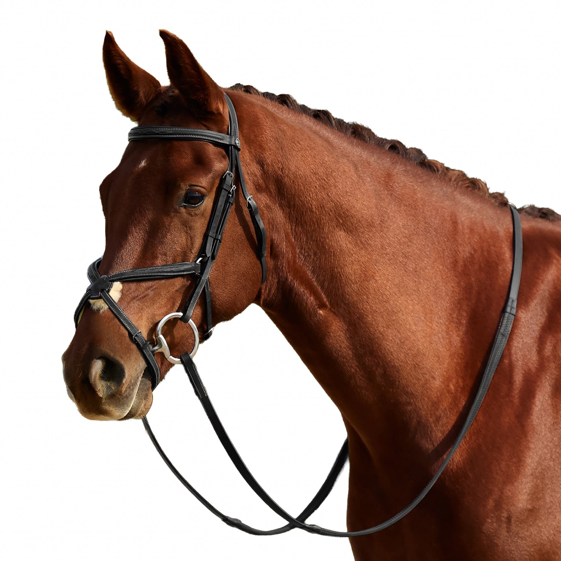 Dublin Padded Fancy Stitch Grackle Bridle