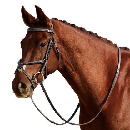 Dublin Padded Fancy Stitch Grackle Bridle