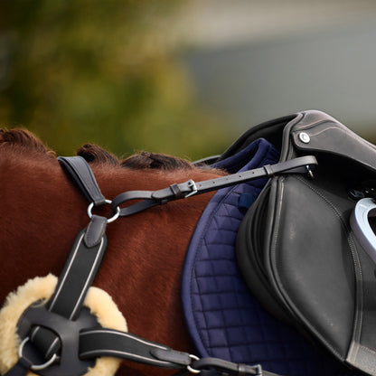 Dublin 5-Point Event Breastplate