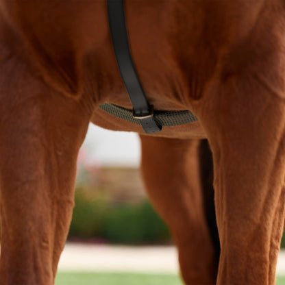 Dublin 5-Point Event Breastplate