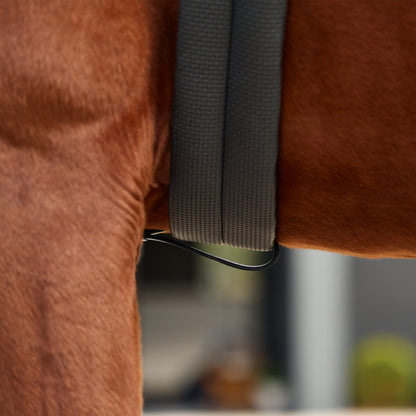 Dublin 5-Point Event Breastplate