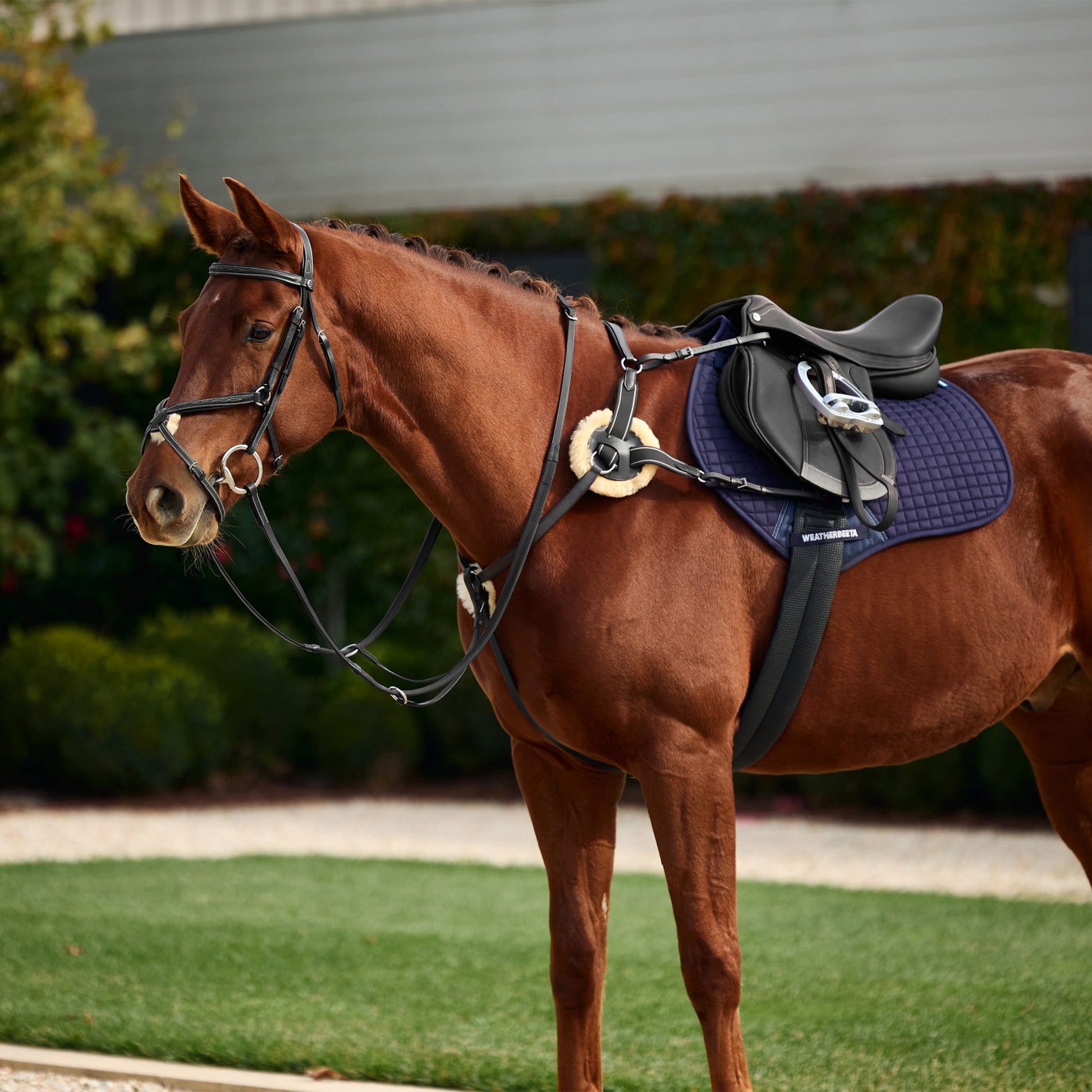 Dublin 5-Point Event Breastplate