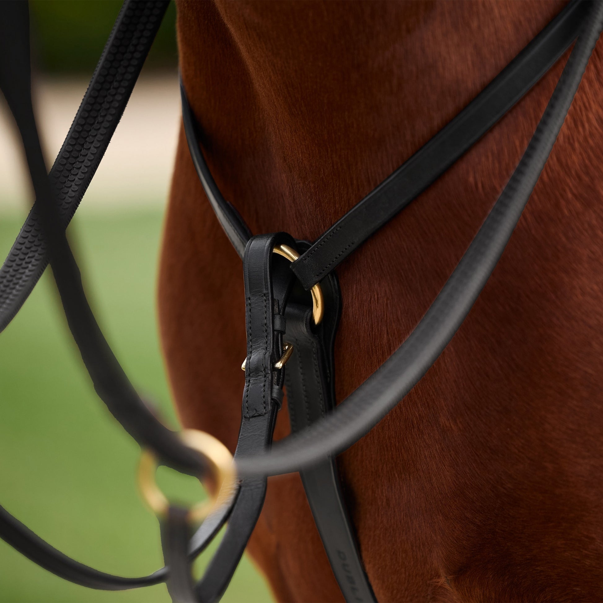 Dublin 3-Point Breastplate