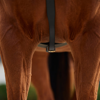 Dublin 3-Point Breastplate