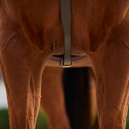Dublin 3-Point Breastplate
