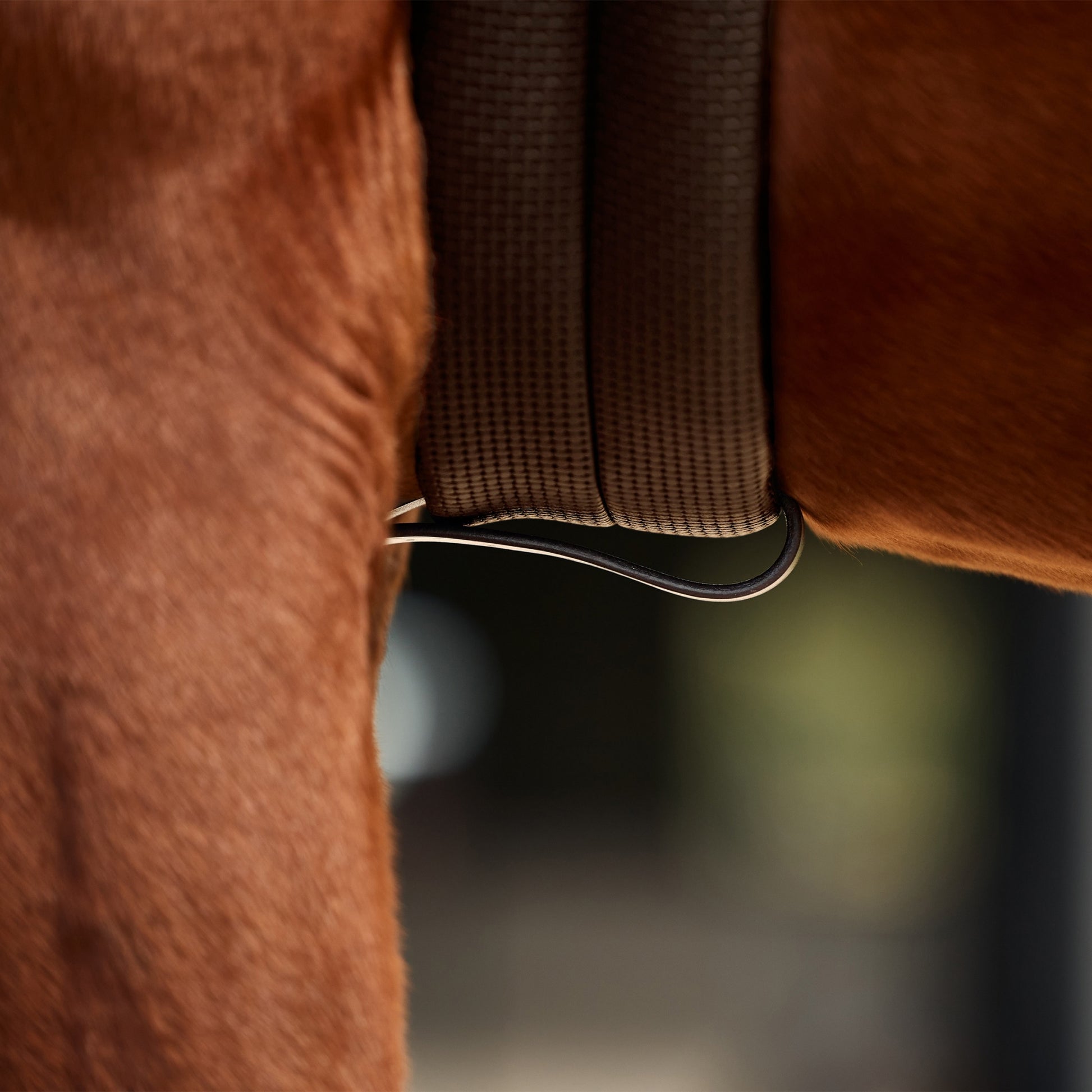 Dublin 3-Point Breastplate