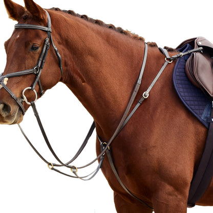 Dublin 3-Point Breastplate