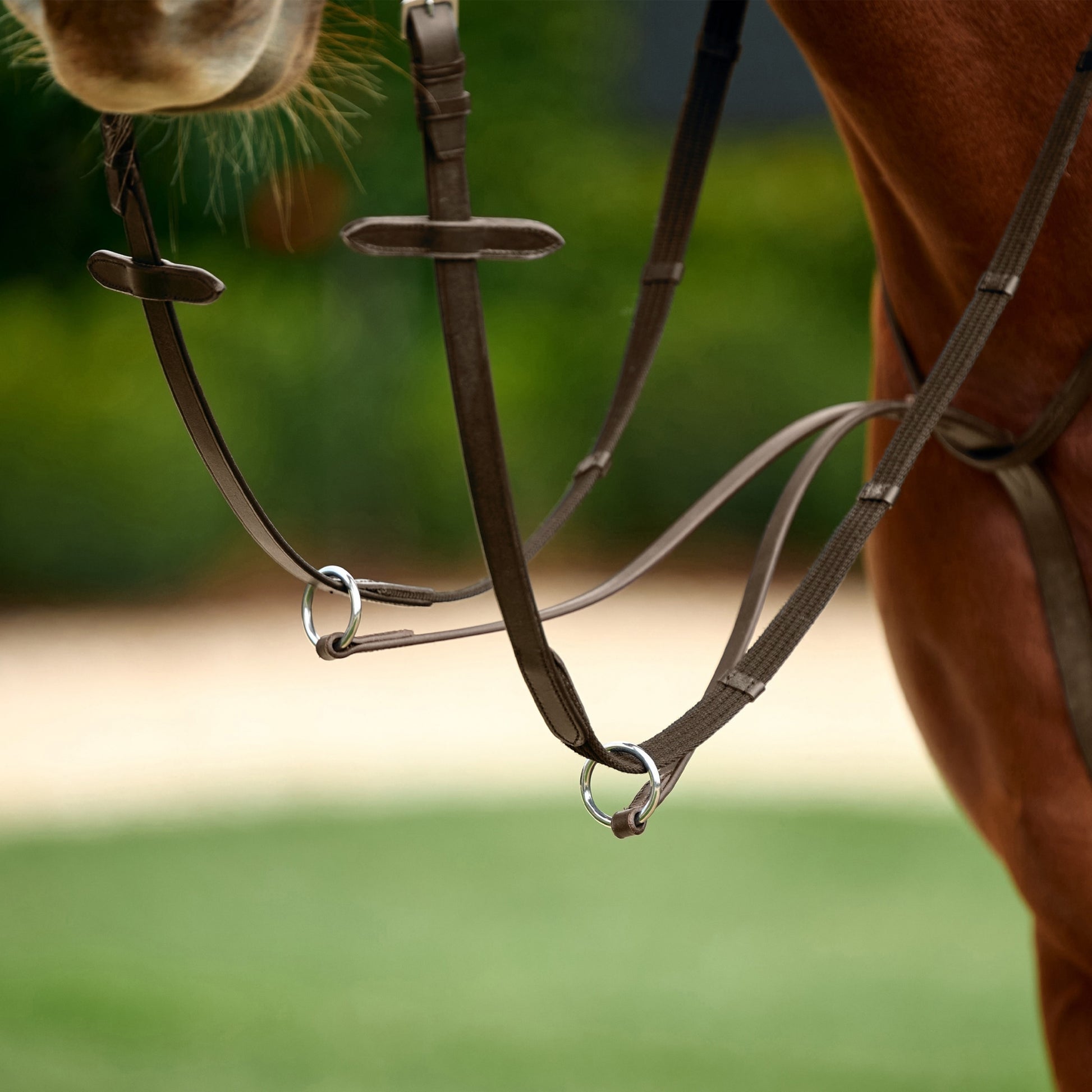 Dublin Running Martingale