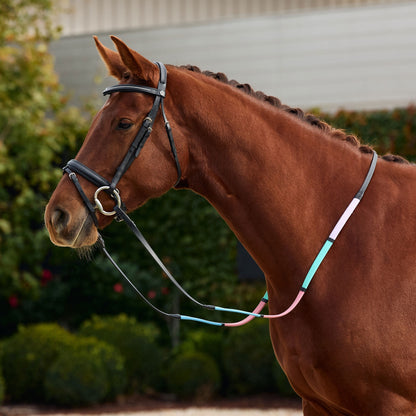 Dublin Pastel Rainbow Reins