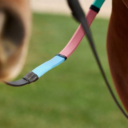 Dublin Pastel Rainbow Reins