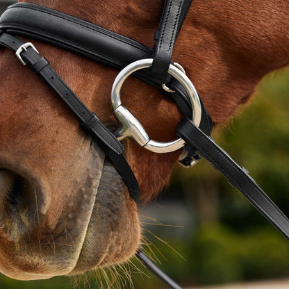 Dublin Pastel Rainbow Reins