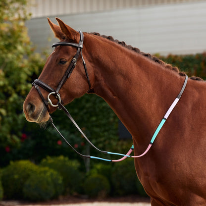Dublin Pastel Rainbow Reins