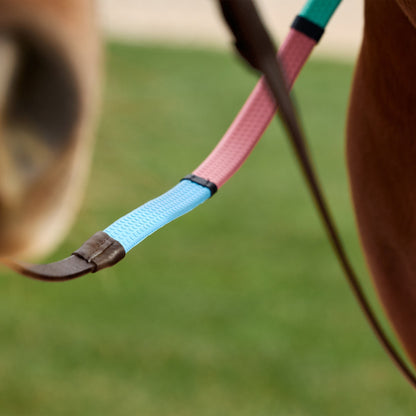 Dublin Pastel Rainbow Reins