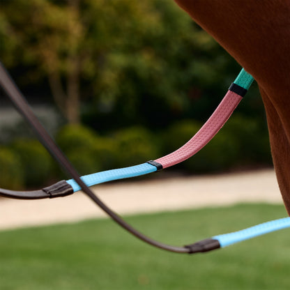 Dublin Pastel Rainbow Reins
