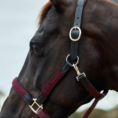 Dublin Braided Leather Headcollar