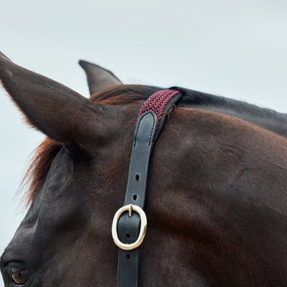 Dublin Braided Leather Headcollar