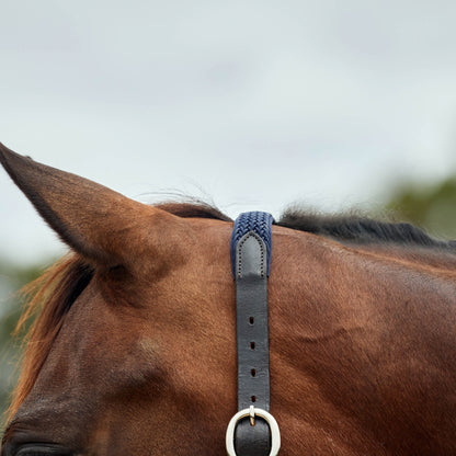 Dublin Braided Leather Headcollar