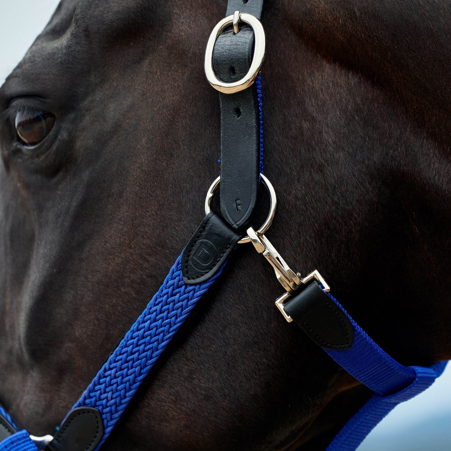 4-504109-03.jpg