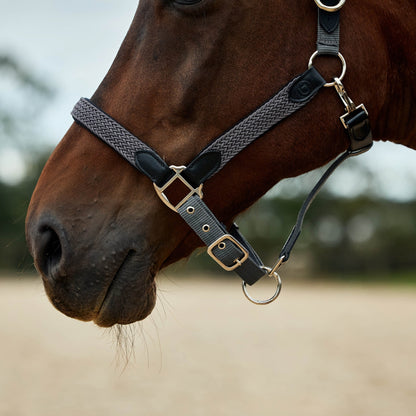 Dublin Braided Leather Headcollar