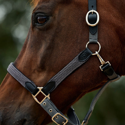 Dublin Braided Leather Headcollar
