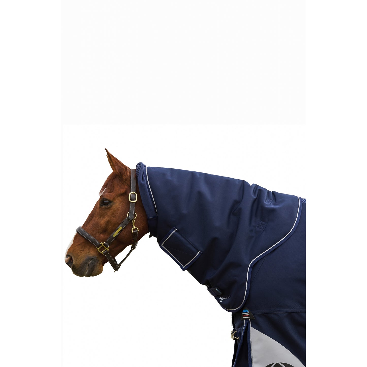4-504443.jpg