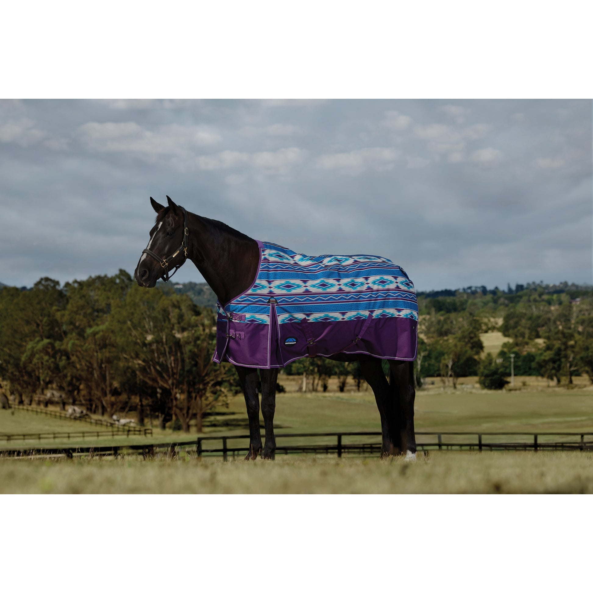 Weatherbeeta ComFiTec Legend Turnout Standard Neck 0g