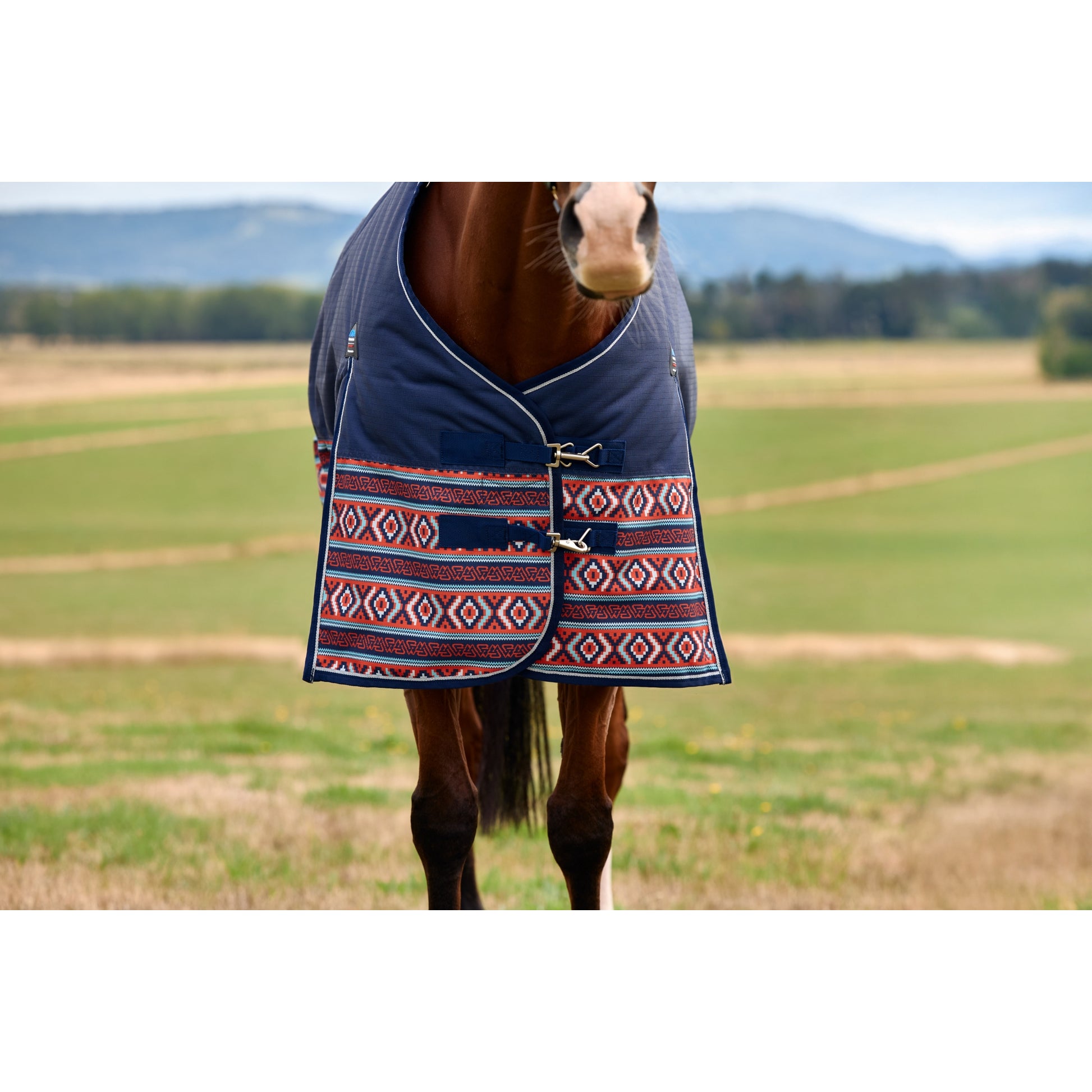 Weatherbeeta ComFiTec Legend Turnout Standard Neck 0g