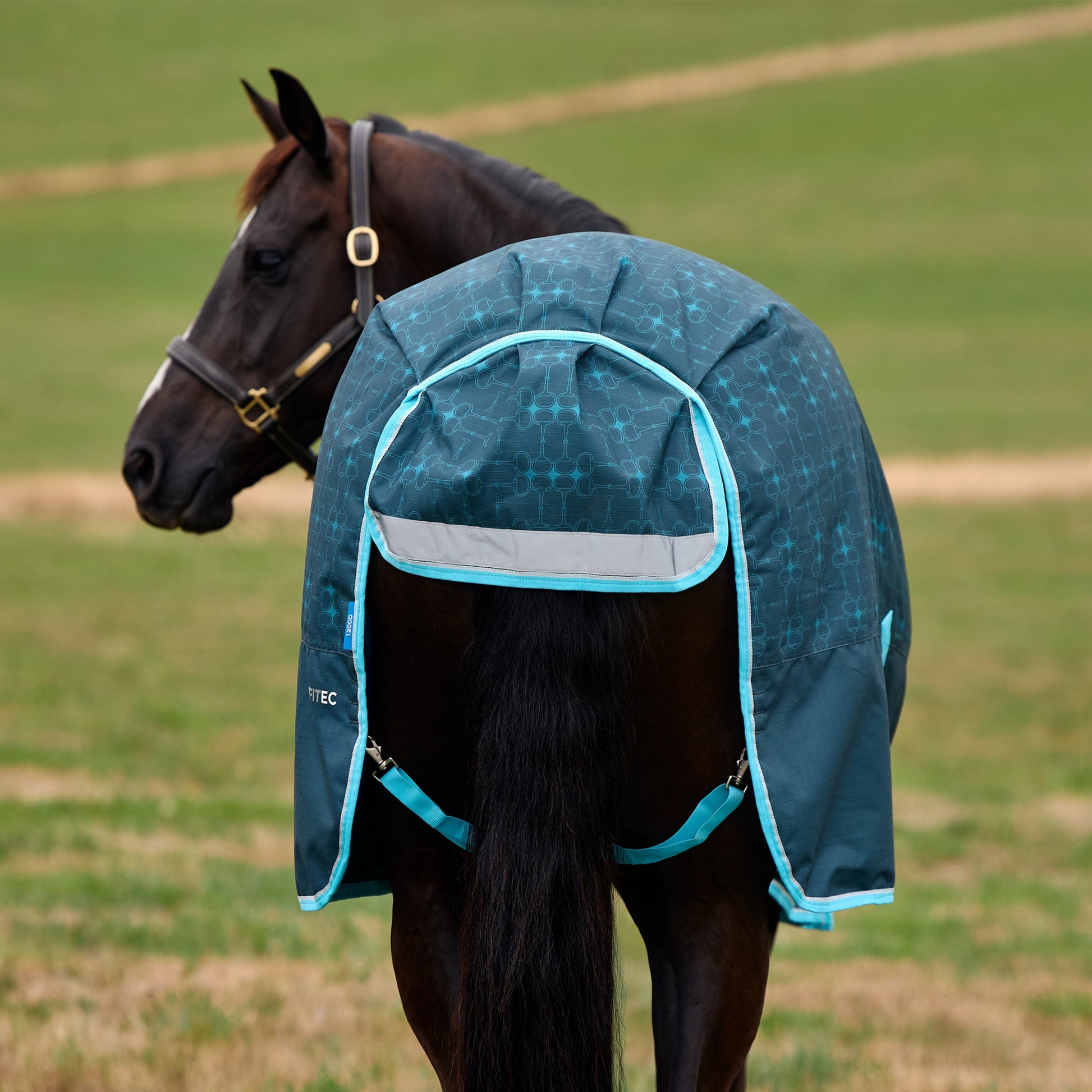 Weatherbeeta ComFiTec Limited Edition Turnout 220g