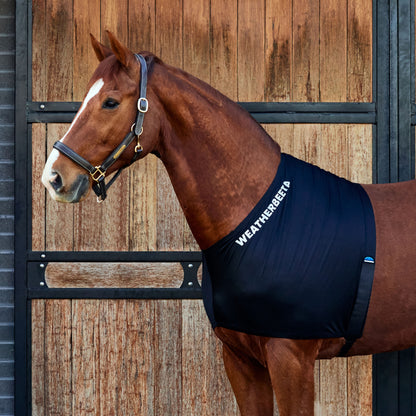 Weatherbeeta Stretch Shoulder Guard