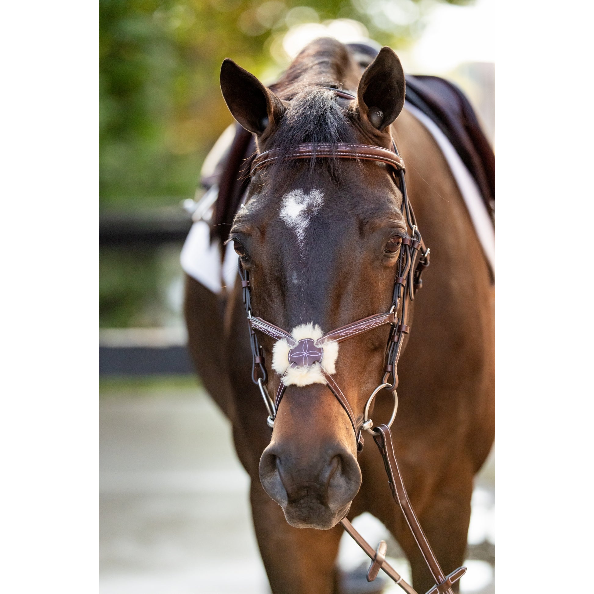 Huntley Equestrian Sedgwick Leather Padded Monocrown Figure 8 Bridle
