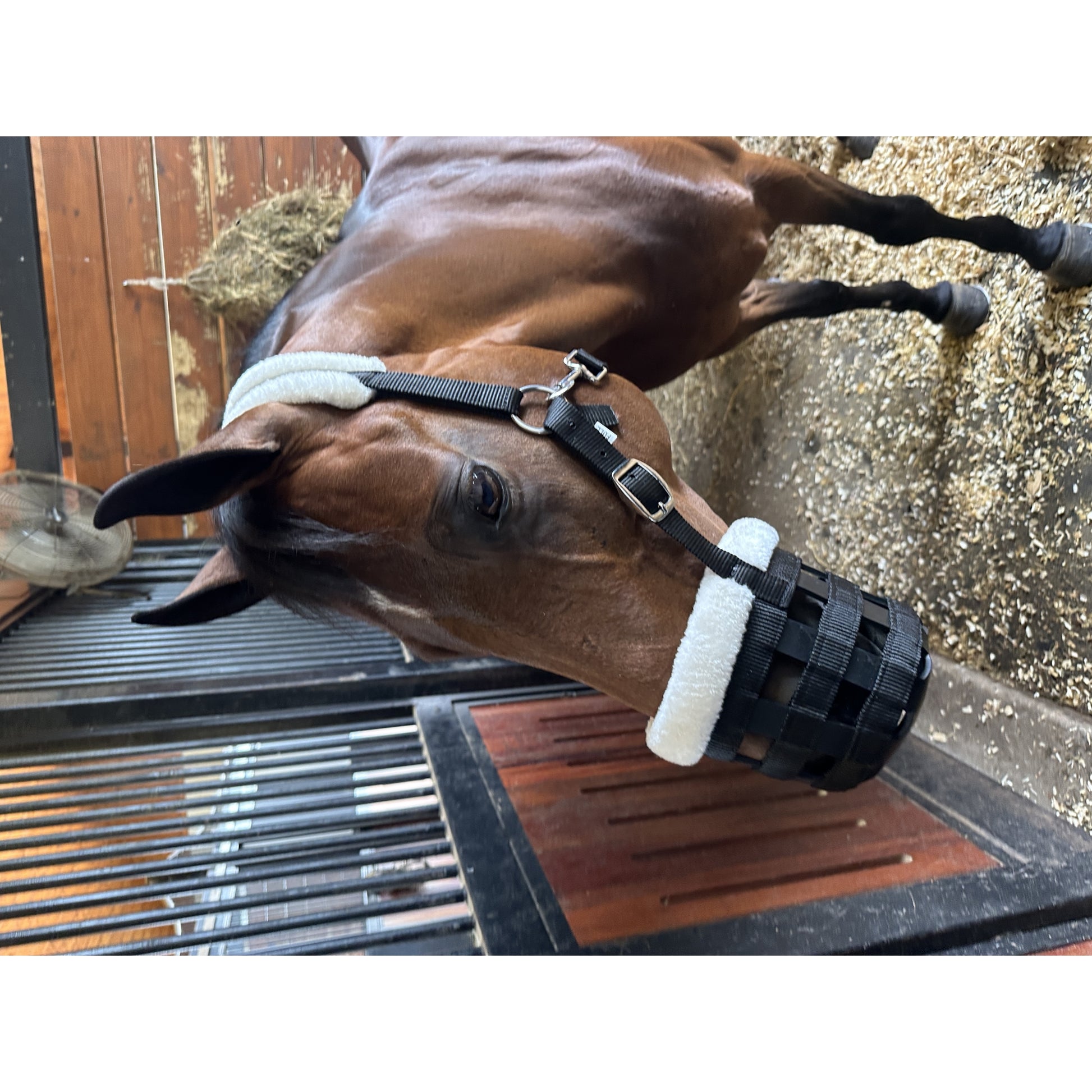 Huntley Equestrian Fleece Padded Nylon Grazing Muzzle