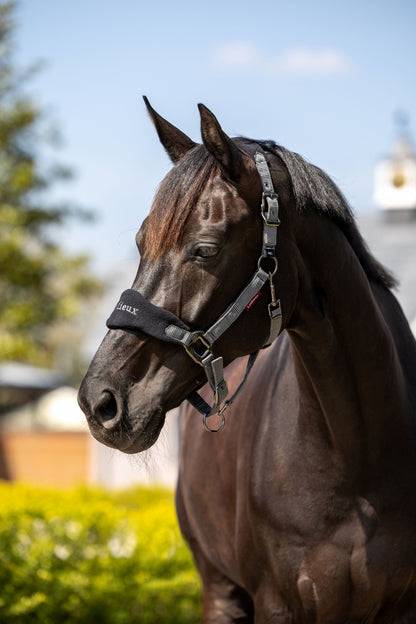 Lemieux Vogue Halter & Leadrope