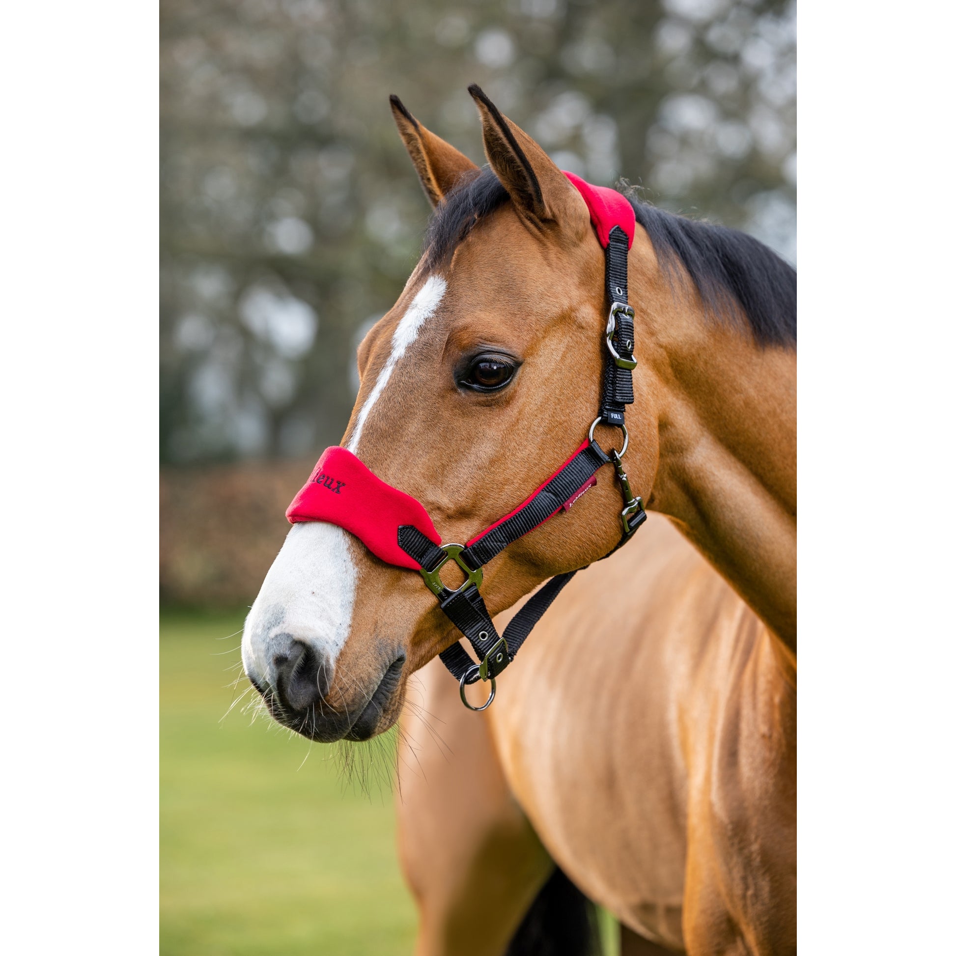 Lemieux Vogue Halter & Leadrope