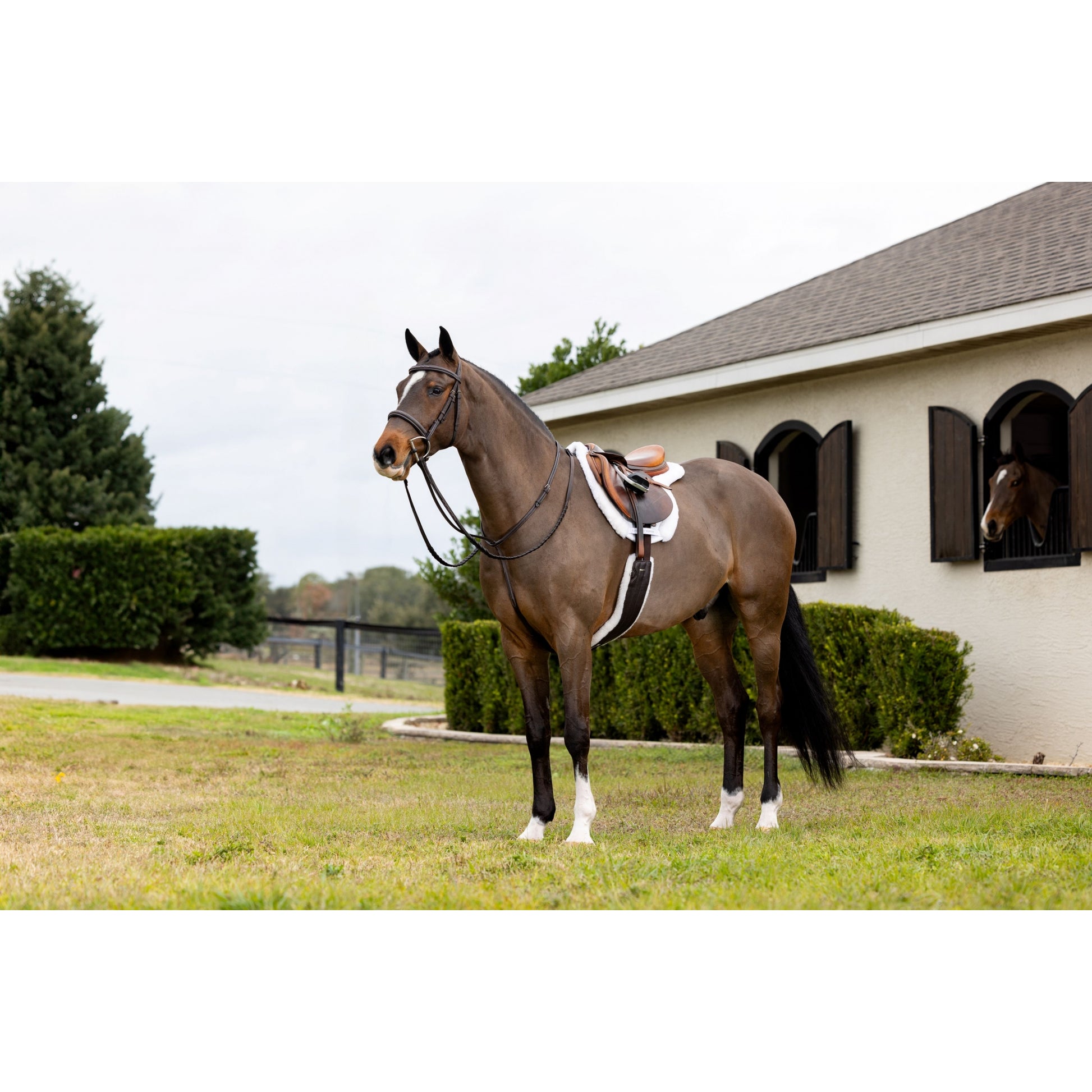 Lemieux Merino+ Hunter Saddle Pad