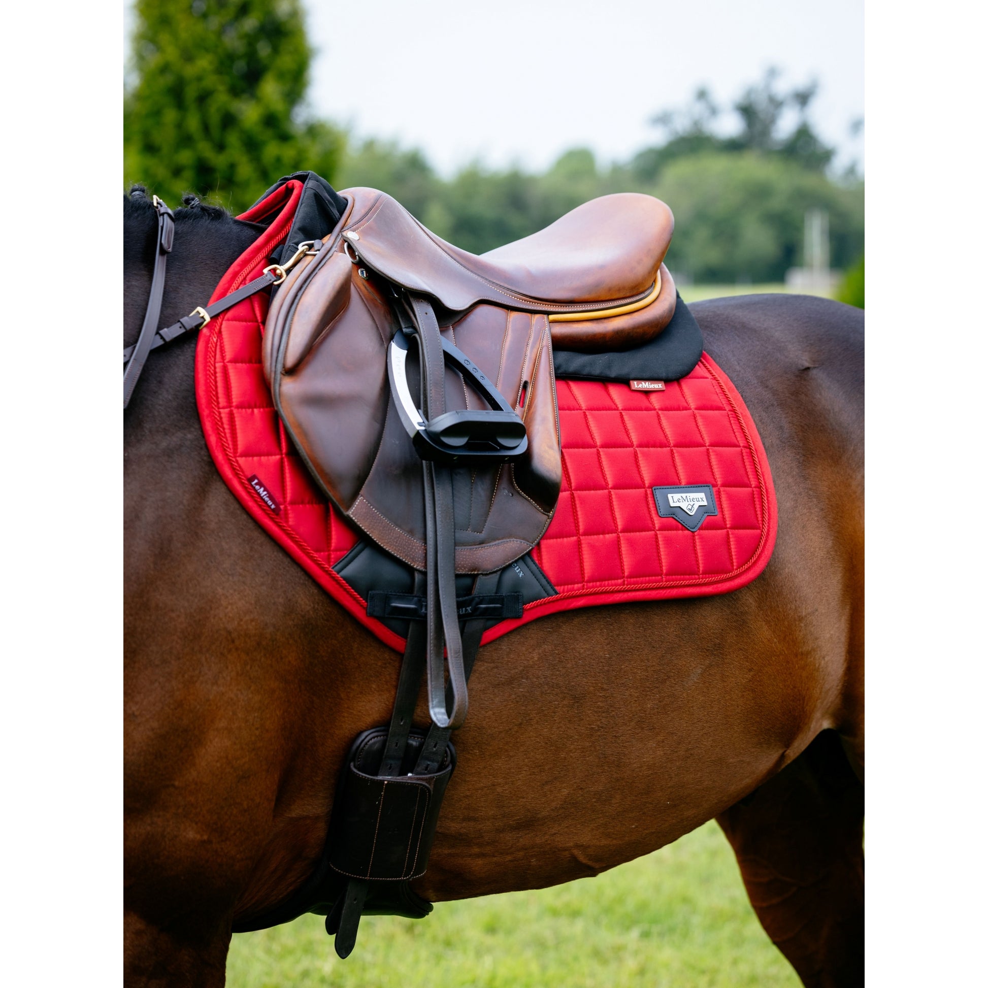 Lemieux Loire Classic Close Contact Square Pad