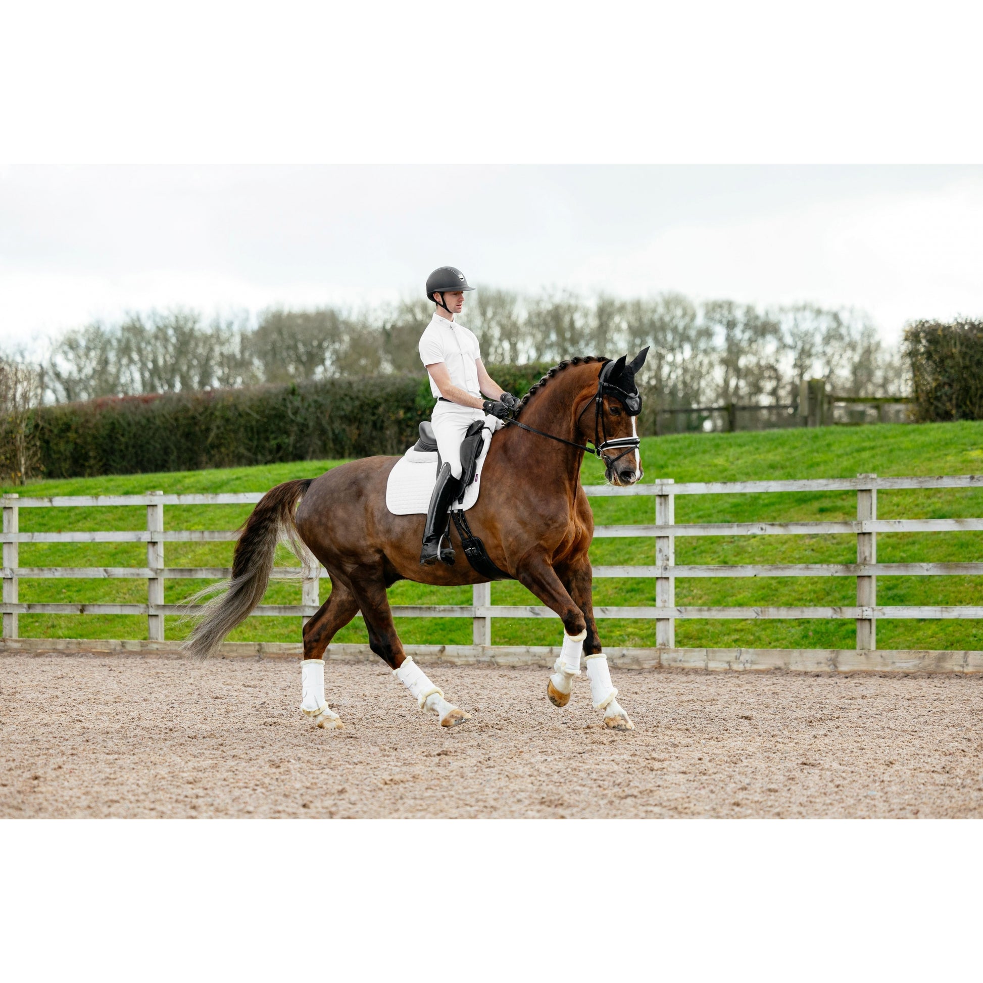 Lemieux Cotton Dressage Square Pad