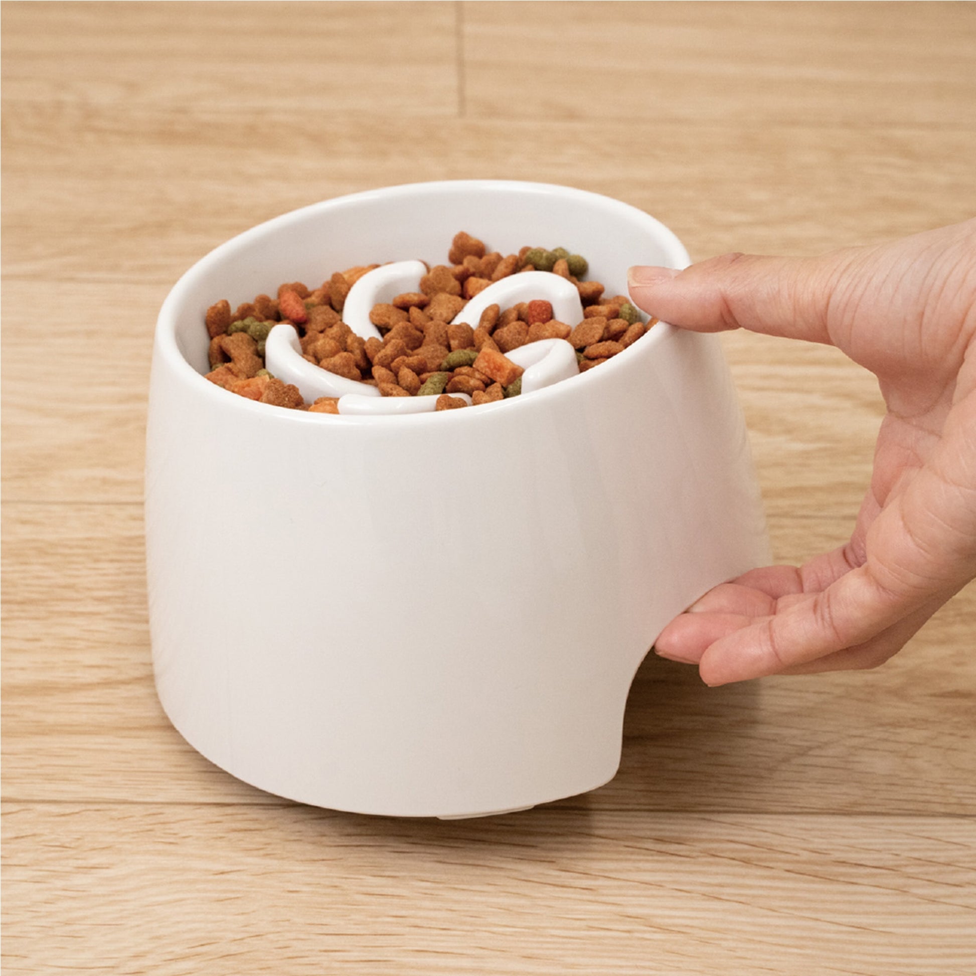 Richell Raised Slow Feeder Bowl