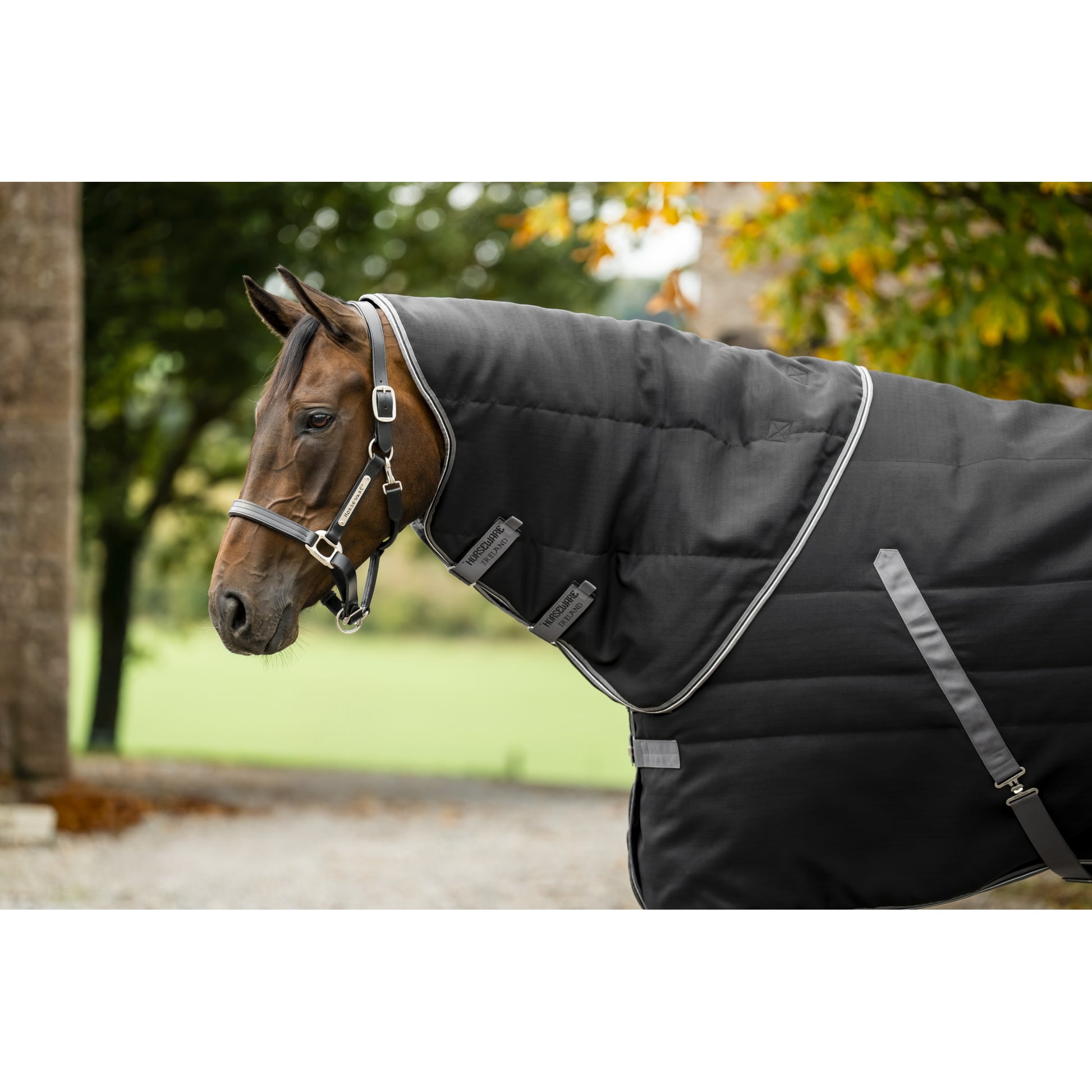 Rambo Stable Hood 100g