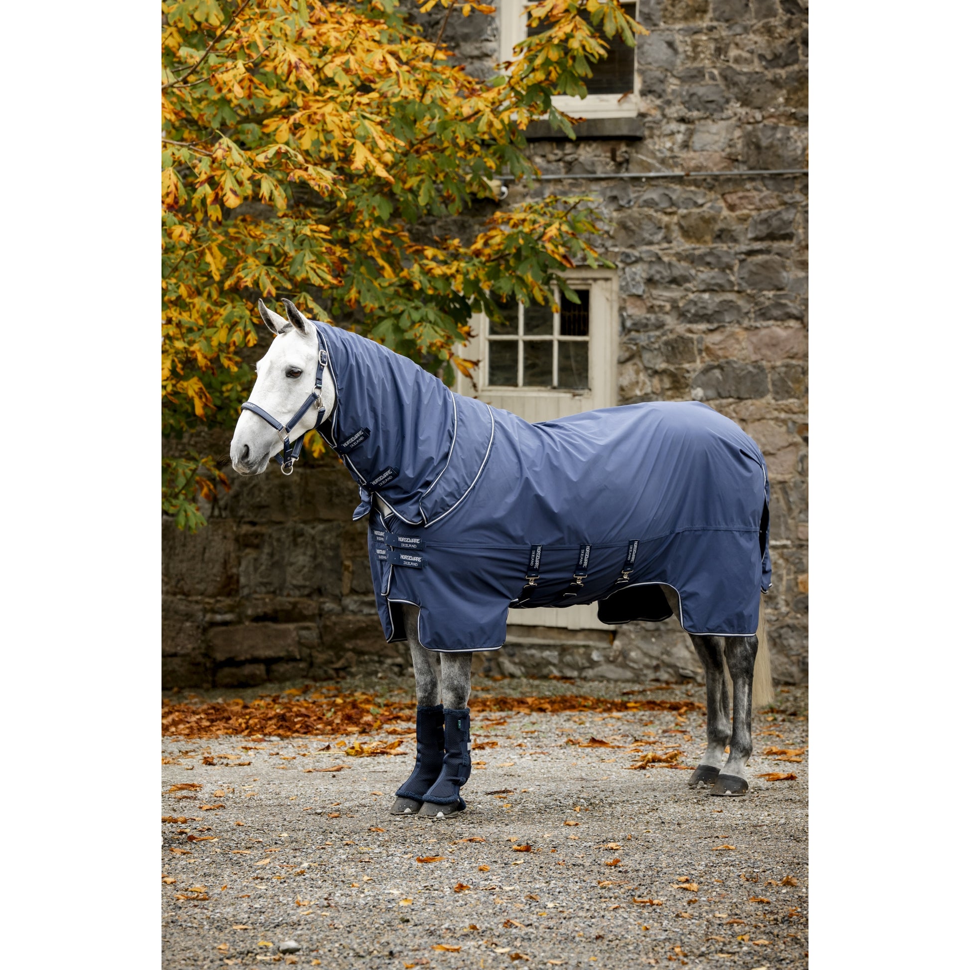 Horseware Show Ready Blanket
